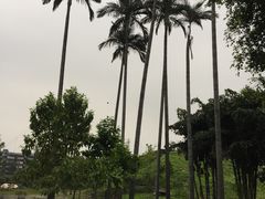 -广州市紫泥堂文化创意园景区