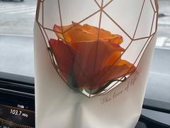 -新光酒家·河豚·海鲜·蟹料理(浦东店)