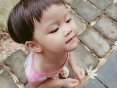 -武汉紫薇都市田园