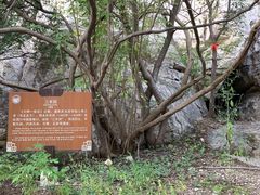 -青州市云门山风景区