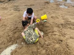-碧海金沙