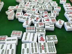 -洪湖家庭农场·团建·露营·会议
