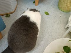 -云城照相馆(龙湖雨山天街店)