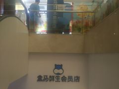 -盒马鲜生(大成店)