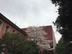 -浙江省杭州高级中学(贡院校区)