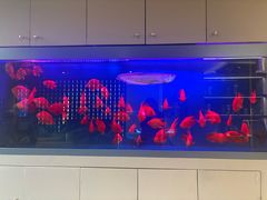 -宫七SPA·高端Massage(浦东大道店)