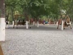 -济南植物园