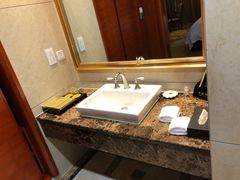 -圣爵菲斯大酒店(长沙世界之窗店)