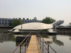 -东方巨龟苑景区