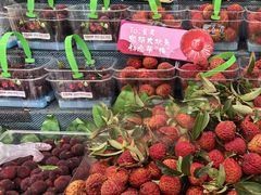 -果多美(三里河店)