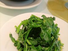 -席家花园(巨鹿花园店)