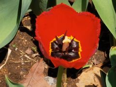 -长春公园(普阳街道)