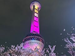 -东方明珠广播电视塔