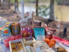 -上海海湾国家森林公园