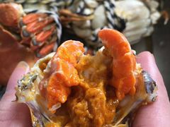 -阳澄湖大闸蟹·琼灵阁牌品牌连锁(吴中总店)