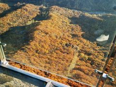 -帽儿山风景区