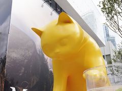 -深圳湾万象城(南山店)