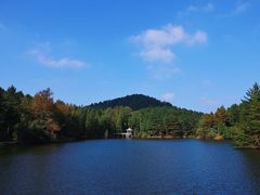 -四明山国家森林公园