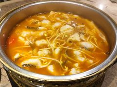 酸汤鱼-酸喜·三度酸·贵州味