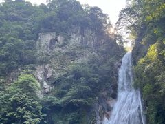 -炎陵县神农谷国家森林公园