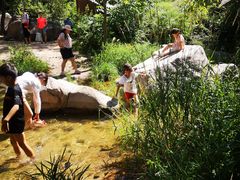 -碓臼峪自然风景区