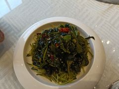 -乡村小镇(新合店)