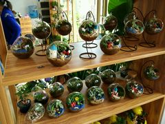 android_upload_pic-白塘生态植物园