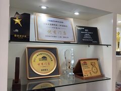 -车艺佳龙膜隐形车衣汽车贴膜(宝山丰宝店)