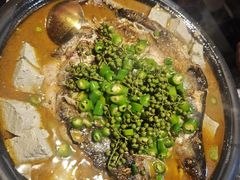-探鱼·鲜青椒爽麻烤鱼(西南商都店)