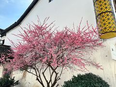 -香积寺