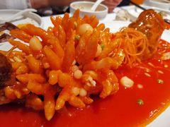 松鼠桂鱼-106餐厅(山水文园店)