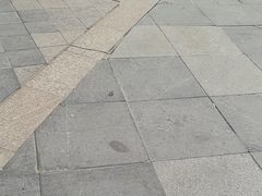 -世纪缘国际会议中心·中餐厅(百家湖店)
