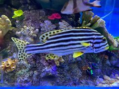 -成都浩海立方海洋公园