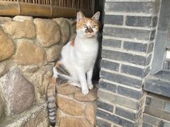 -龙华寺