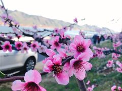 -河口景区
