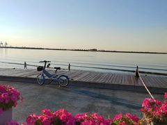 -海驴岛(荣成市)