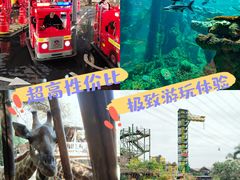 -长鹿旅游休博园