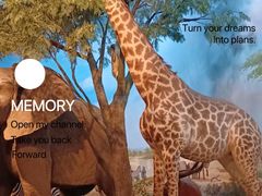 -陕西自然博物馆