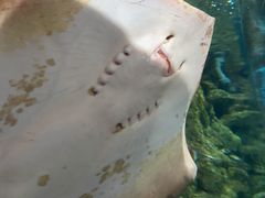 -杭州海底世界