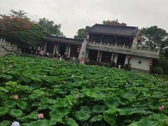 -惠州西湖丰渚园