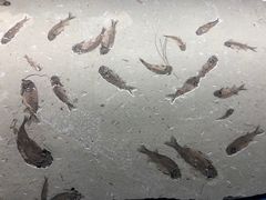 -本溪水洞