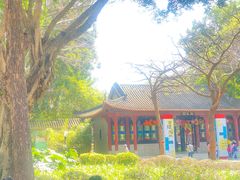 -顺峰山公园