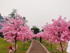 -桂溪生态公园