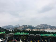 -西霞口神雕山野生动物世界