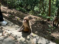 -黔灵山公园