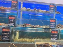 -真味海鲜坊