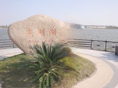 -上海都市菜园