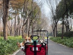 -尚贤河湿地