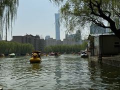 -团结湖公园