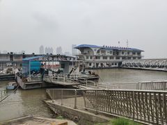 -武汉关码头(轮渡站)